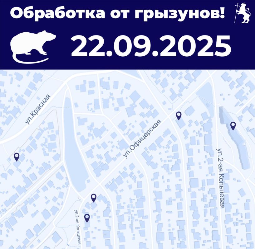          22     (  )   :