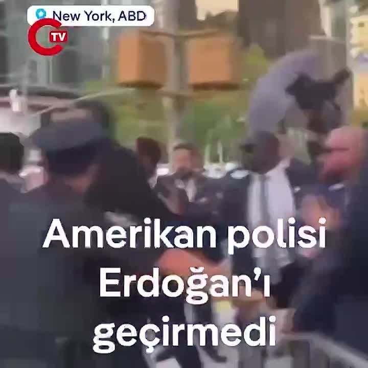:   -       