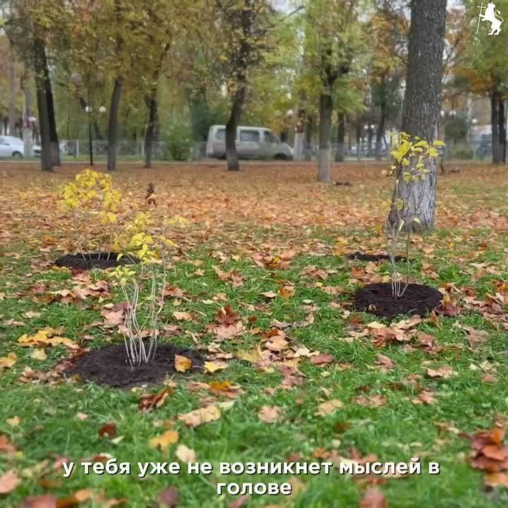     !