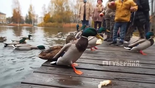    -    