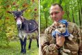 Пушистый спецназ. В боевых отрядах в зоне СВО нашли приют десятки животных