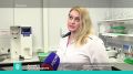 Александр Авдеев посетил производство в Киржаче, где изготавливают белковые добавки к кормам на основе метана