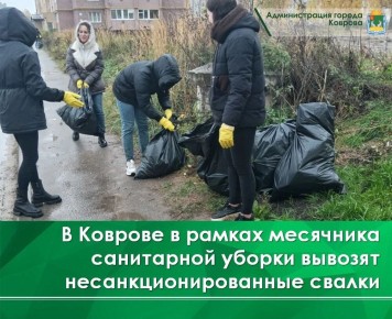 В Коврове продолжается осенний месячник по благоустройству и санитарной очистке города