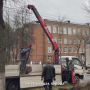 Во Владимире продолжаются работы по озеленению!
