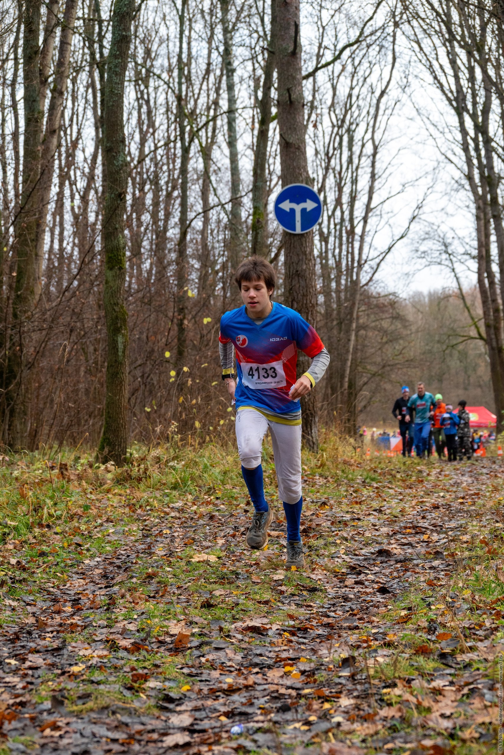 Владимиро-Суздальская Русь 2025 – ориентир на успех