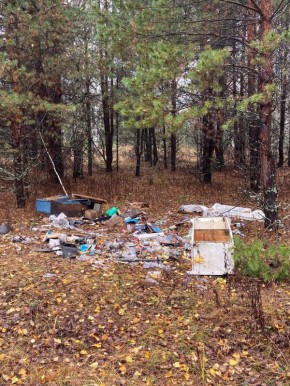 В Меленках прокурор требует ликвидировать свалку на территории города