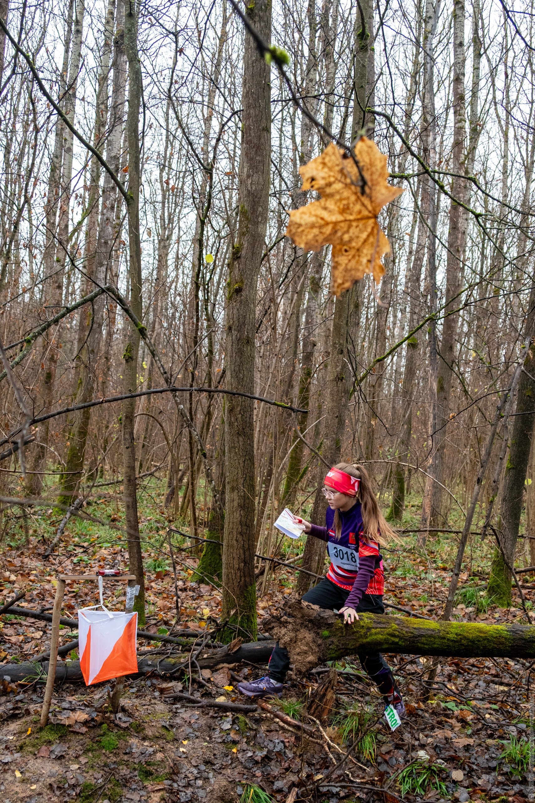 Владимиро-Суздальская Русь 2025 – ориентир на успех Владимиро-Суздальская Русь 2025 – ориентир на успех