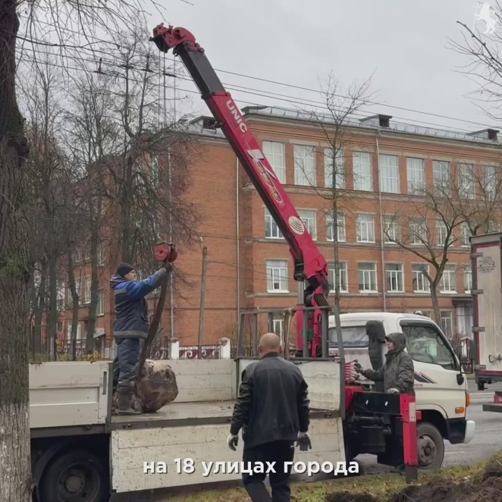 Во Владимире продолжаются работы по озеленению!