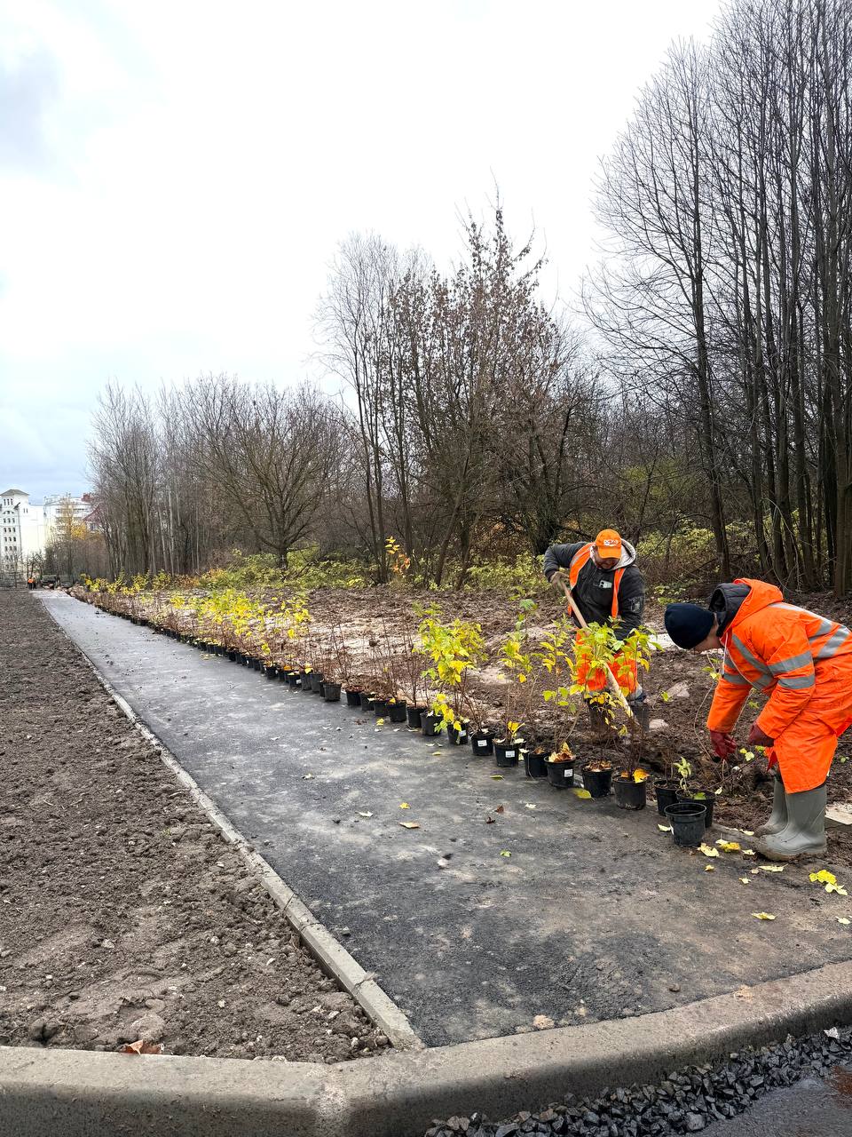 ДСУ-3 заасфальтировало 350 метров дублера Октябрьского проспекта ДСУ-3 заасфальтировало 350 метров дублера Октябрьского проспекта