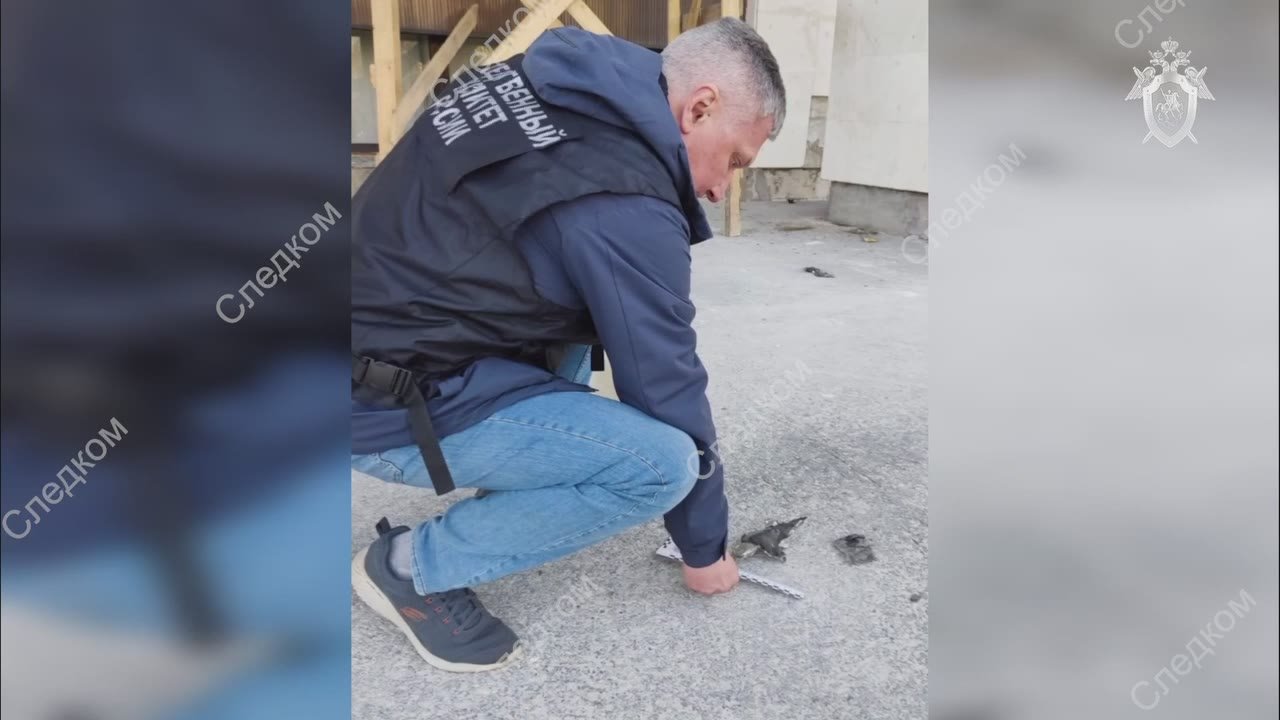 Житель Владимира признан виновным в поджоге здания Правительства Владимирской области, автомобилей и иных преступлениях