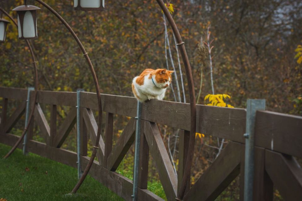 Осенняя пора прекрасна и невероятна…