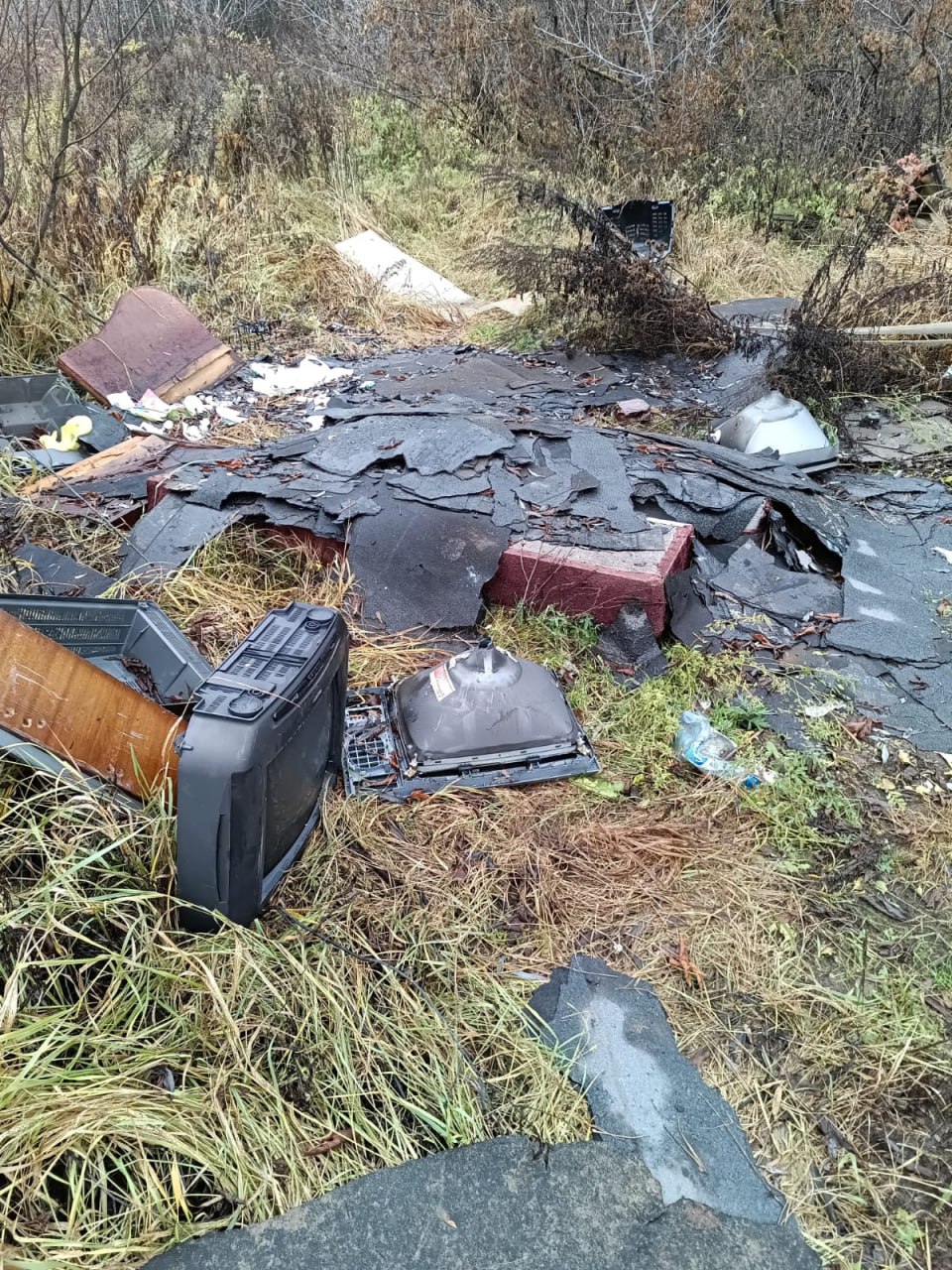 Владимирской природоохранной прокуратурой организованы мероприятия по ликвидации несанкционированных свалок Владимирской природоохранной прокуратурой организованы мероприятия по ликвидации несанкционированных свалок