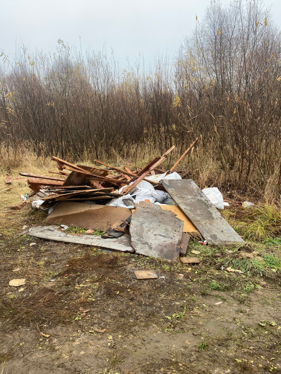 Владимирской природоохранной прокуратурой организованы мероприятия по ликвидации несанкционированных свалок Владимирской природоохранной прокуратурой организованы мероприятия по ликвидации несанкционированных свалок