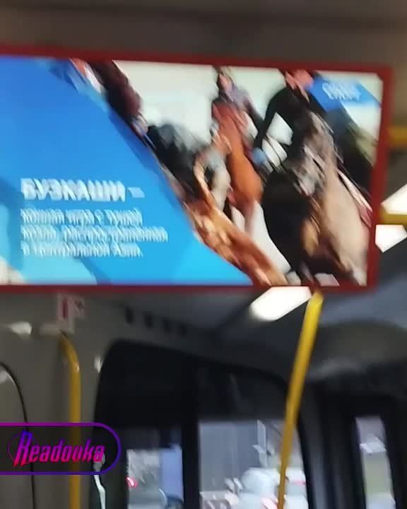Среднеазиатскую игру с тушей козла вместо мяча показали во владимирском автобусе