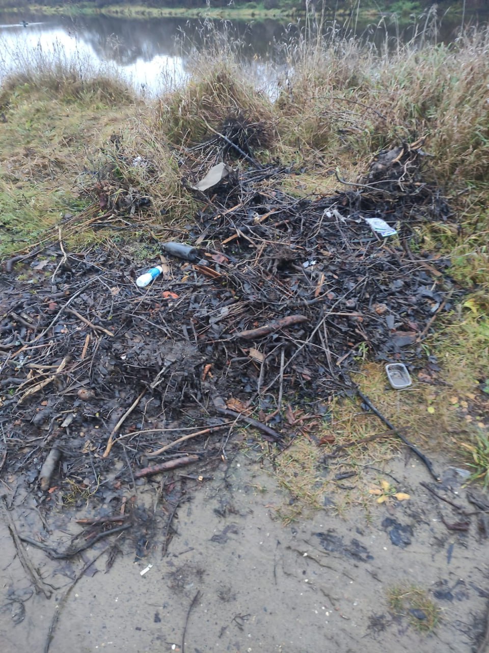 Владимирской природоохранной прокуратурой организованы мероприятия по ликвидации несанкционированных свалок Владимирской природоохранной прокуратурой организованы мероприятия по ликвидации несанкционированных свалок