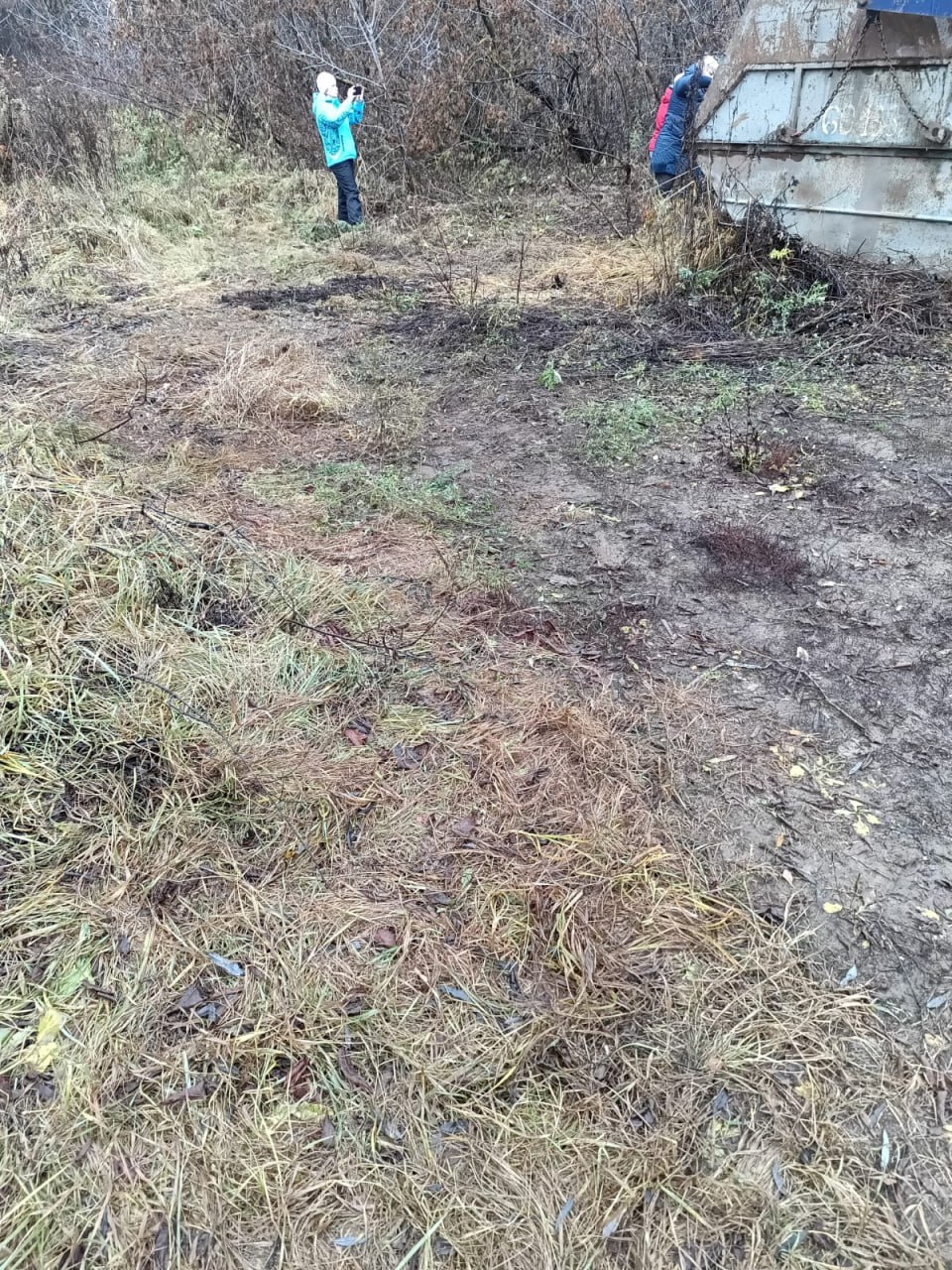 Владимирской природоохранной прокуратурой организованы мероприятия по ликвидации несанкционированных свалок Владимирской природоохранной прокуратурой организованы мероприятия по ликвидации несанкционированных свалок