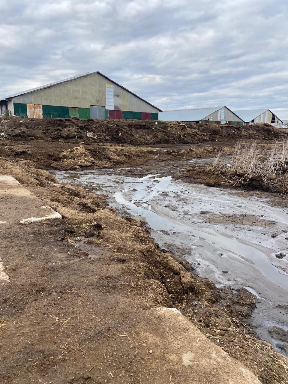 ™™™™™™™™. ™Владимирская природоохранная прокуратура направила в суд уголовное дело о загрязнении реки Бакава в Юрьев-Польском районе Исполняющим обязанности Владимирского природоохранного прокурора утвержден обвинительный... ™™™™™™™™. ™Владимирская природоохранная прокуратура направила в суд уголовное дело о загрязнении реки Бакава в Юрьев-Польском районе Исполняющим обязанности Владимирского природоохранного прокурора утвержден обвинительный...