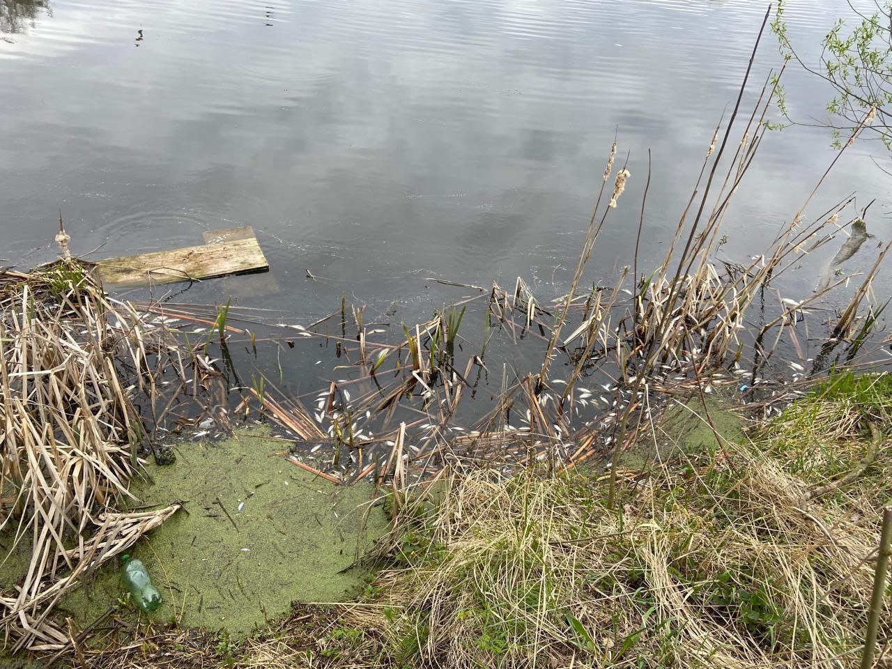 ™™™™™™™™. ™Владимирская природоохранная прокуратура направила в суд уголовное дело о загрязнении реки Бакава в Юрьев-Польском районе Исполняющим обязанности Владимирского природоохранного прокурора утвержден обвинительный... ™™™™™™™™. ™Владимирская природоохранная прокуратура направила в суд уголовное дело о загрязнении реки Бакава в Юрьев-Польском районе Исполняющим обязанности Владимирского природоохранного прокурора утвержден обвинительный...