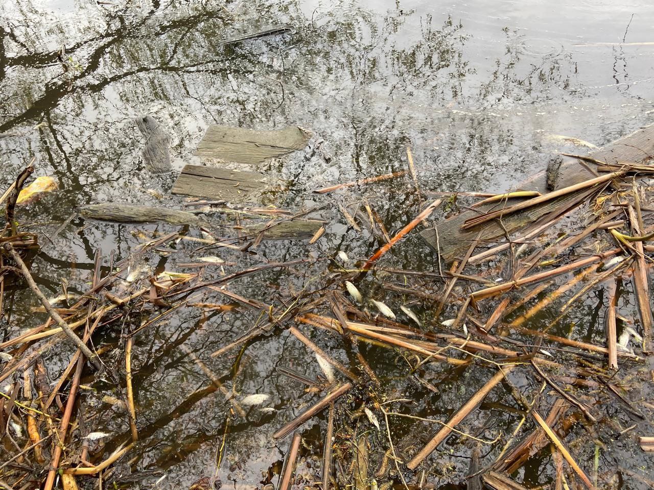 ™™™™™™™™. ™Владимирская природоохранная прокуратура направила в суд уголовное дело о загрязнении реки Бакава в Юрьев-Польском районе Исполняющим обязанности Владимирского природоохранного прокурора утвержден обвинительный... ™™™™™™™™. ™Владимирская природоохранная прокуратура направила в суд уголовное дело о загрязнении реки Бакава в Юрьев-Польском районе Исполняющим обязанности Владимирского природоохранного прокурора утвержден обвинительный...