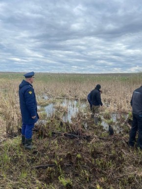 ™™™™™™™™. ™Владимирская природоохранная прокуратура направила в суд уголовное дело о загрязнении реки Бакава в Юрьев-Польском районе Исполняющим обязанности Владимирского природоохранного прокурора утвержден обвинительный...