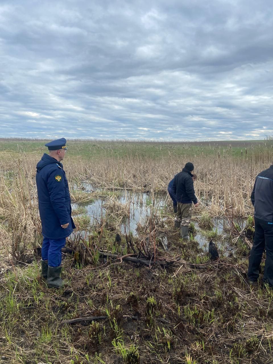 ™™™™™™™™. ™Владимирская природоохранная прокуратура направила в суд уголовное дело о загрязнении реки Бакава в Юрьев-Польском районе Исполняющим обязанности Владимирского природоохранного прокурора утвержден обвинительный...