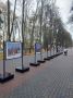 Выставка владимирских художников переехала из парка Пушкина в центральный парк