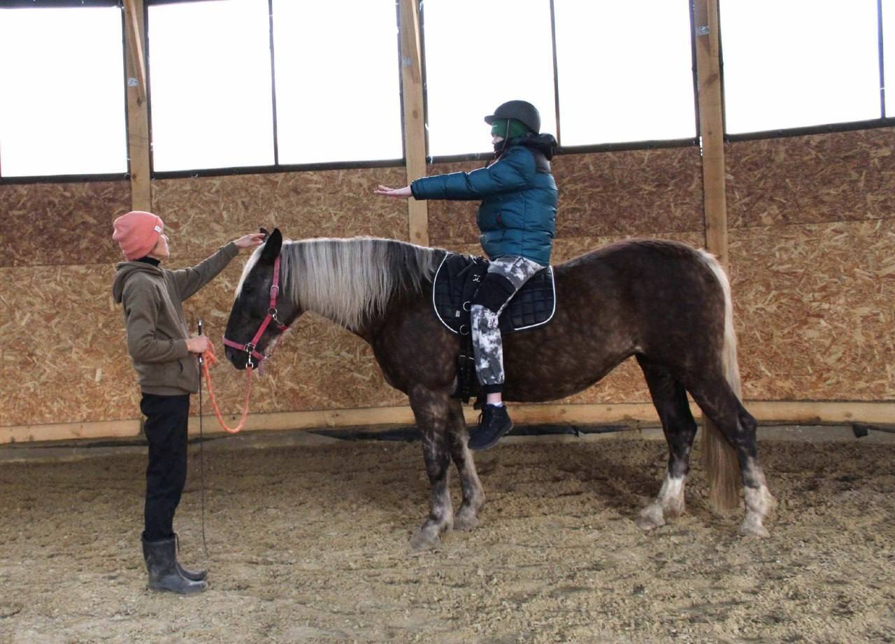 Для воспитанников Владимирского социально-реабилитационного центра проводят занятия по лечебной верховой езде