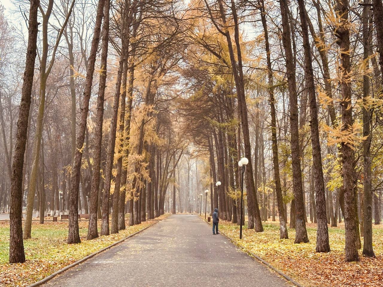 В понедельник во Владимире будет прохладно, но без дождей