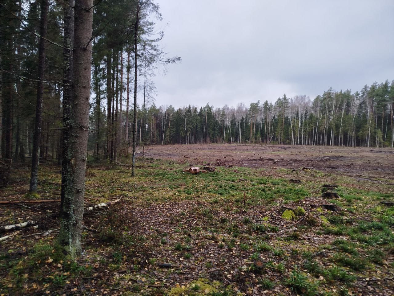 По постановлению прокуратура Гороховецкого района арендатор лесных участков привлечен к административной ответственности за нарушение правил заготовки древесины и правил пожарной безопасности в лесах По постановлению прокуратура Гороховецкого района арендатор лесных участков привлечен к административной ответственности за нарушение правил заготовки древесины и правил пожарной безопасности в лесах