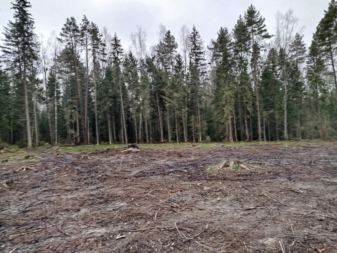 По постановлению прокуратура Гороховецкого района арендатор лесных участков привлечен к административной ответственности за нарушение правил заготовки древесины и правил пожарной безопасности в лесах По постановлению прокуратура Гороховецкого района арендатор лесных участков привлечен к административной ответственности за нарушение правил заготовки древесины и правил пожарной безопасности в лесах