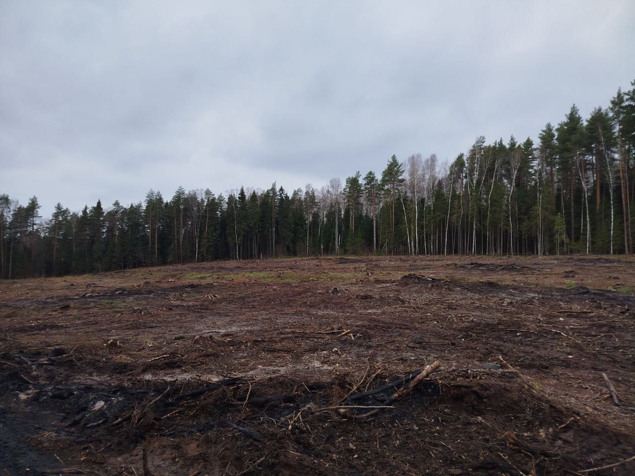 По постановлению прокуратура Гороховецкого района арендатор лесных участков привлечен к административной ответственности за нарушение правил заготовки древесины и правил пожарной безопасности в лесах