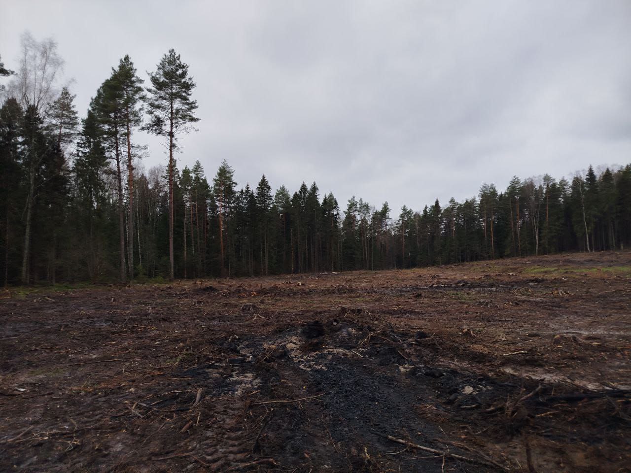По постановлению прокуратура Гороховецкого района арендатор лесных участков привлечен к административной ответственности за нарушение правил заготовки древесины и правил пожарной безопасности в лесах По постановлению прокуратура Гороховецкого района арендатор лесных участков привлечен к административной ответственности за нарушение правил заготовки древесины и правил пожарной безопасности в лесах