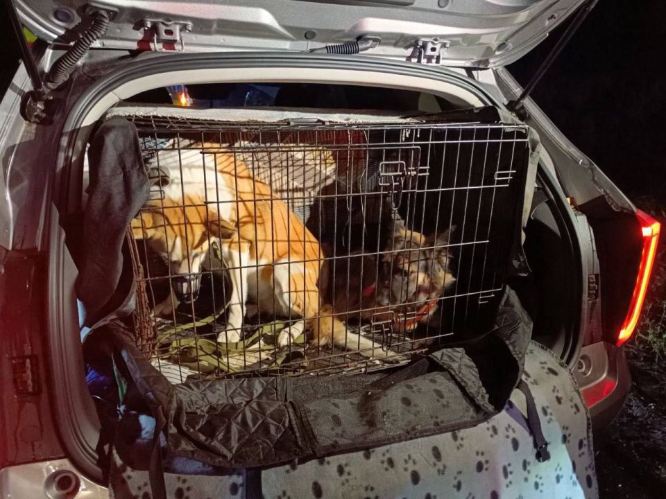 Три человека пострадали в ДТП в Судогодском округе Три человека пострадали в ДТП в Судогодском округе