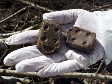 В первом полугодии 2025 года региональный Роспотребнадзор зафиксировал 22 случая бешенства во Владимирской области