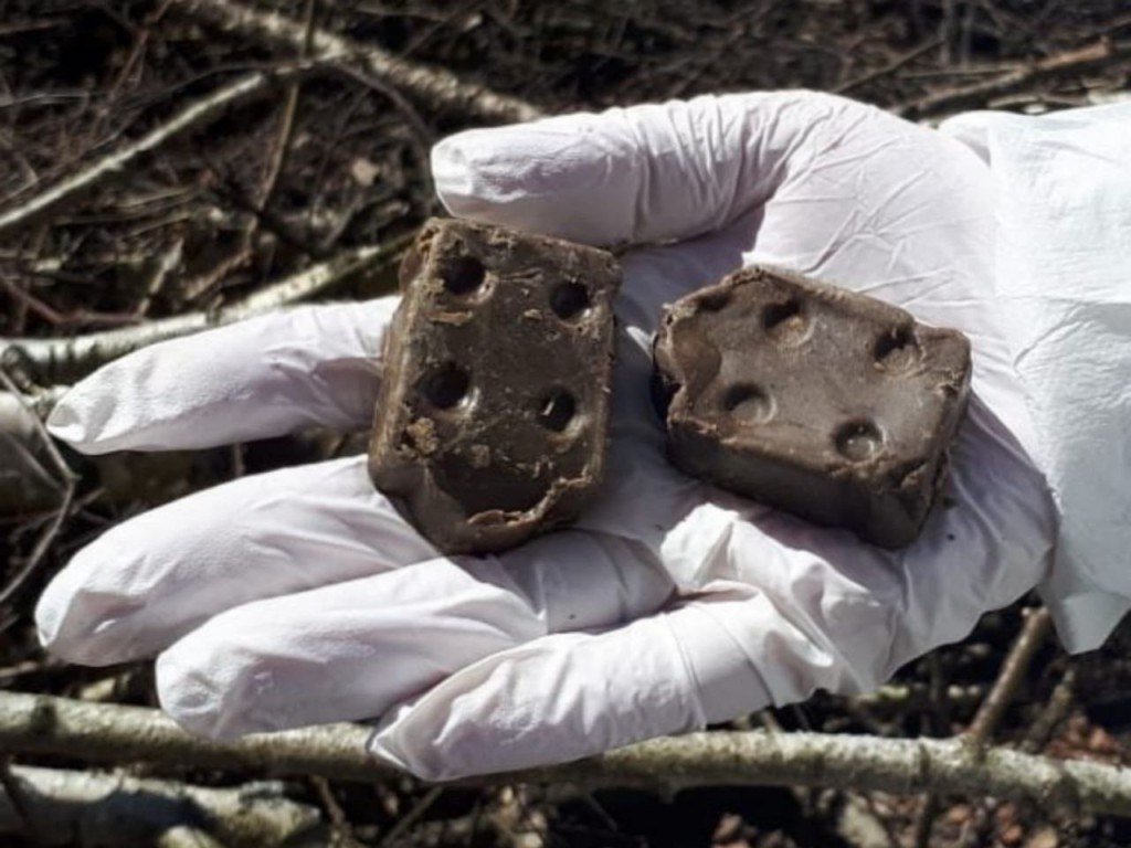 В первом полугодии 2025 года региональный Роспотребнадзор зафиксировал 22 случая бешенства во Владимирской области