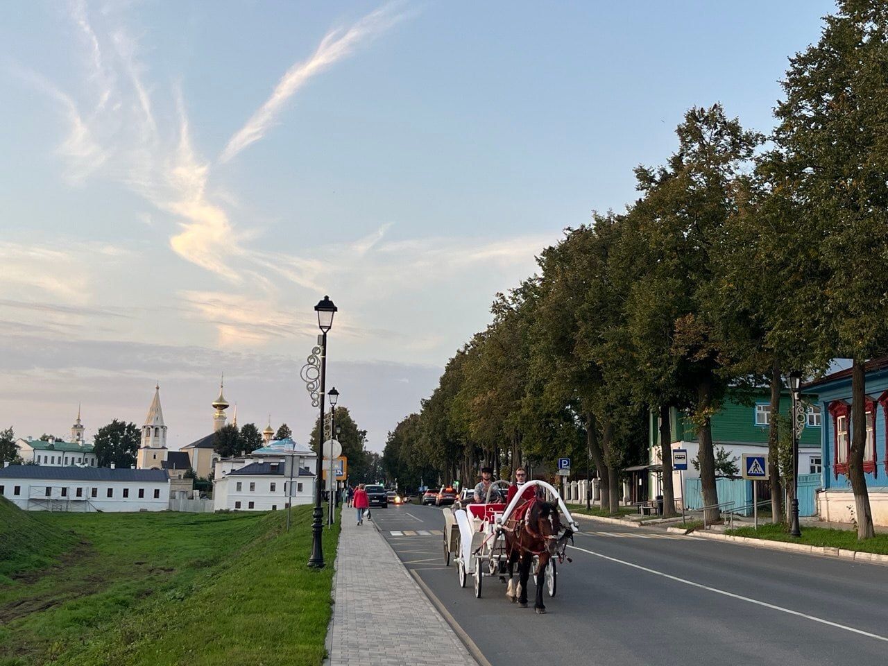 В Суздале запретили стоянку лошадей у детских учреждений и Успенского храма
