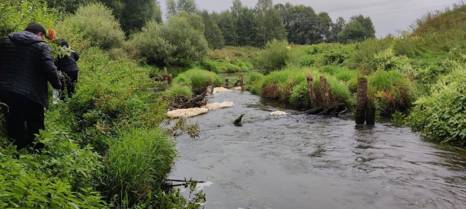 ™™™™™™™™. ™В Кольчугино прокурор требует дать уголовно-правовую оценку действиям лиц, виновных в загрязнении реки Пекша, повлекшем гибель водных биологических ресурсов Кольчугинской межрайонной прокуратурой совместно с... ™™™™™™™™. ™В Кольчугино прокурор требует дать уголовно-правовую оценку действиям лиц, виновных в загрязнении реки Пекша, повлекшем гибель водных биологических ресурсов Кольчугинской межрайонной прокуратурой совместно с...