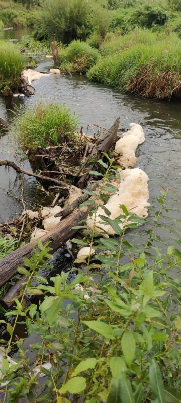 .      -   ,     ,          ...