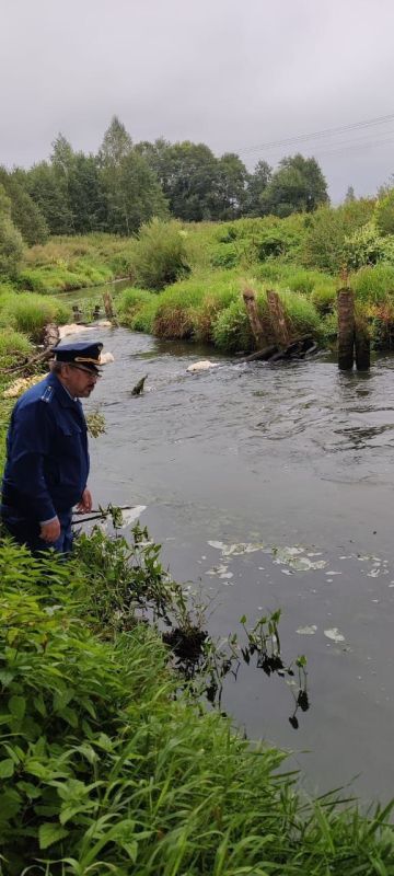 ™™™™™™™™. ™В Кольчугино прокурор требует дать уголовно-правовую оценку действиям лиц, виновных в загрязнении реки Пекша, повлекшем гибель водных биологических ресурсов Кольчугинской межрайонной прокуратурой совместно с... ™™™™™™™™. ™В Кольчугино прокурор требует дать уголовно-правовую оценку действиям лиц, виновных в загрязнении реки Пекша, повлекшем гибель водных биологических ресурсов Кольчугинской межрайонной прокуратурой совместно с...