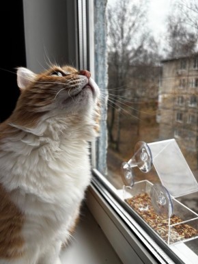 Доброе утро! Еще чуть-чуть, и снова выходные)