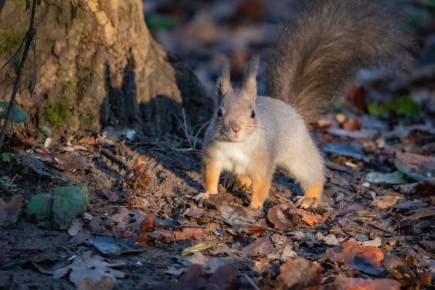 Пятничный привет из владимирского парка «Дружба»