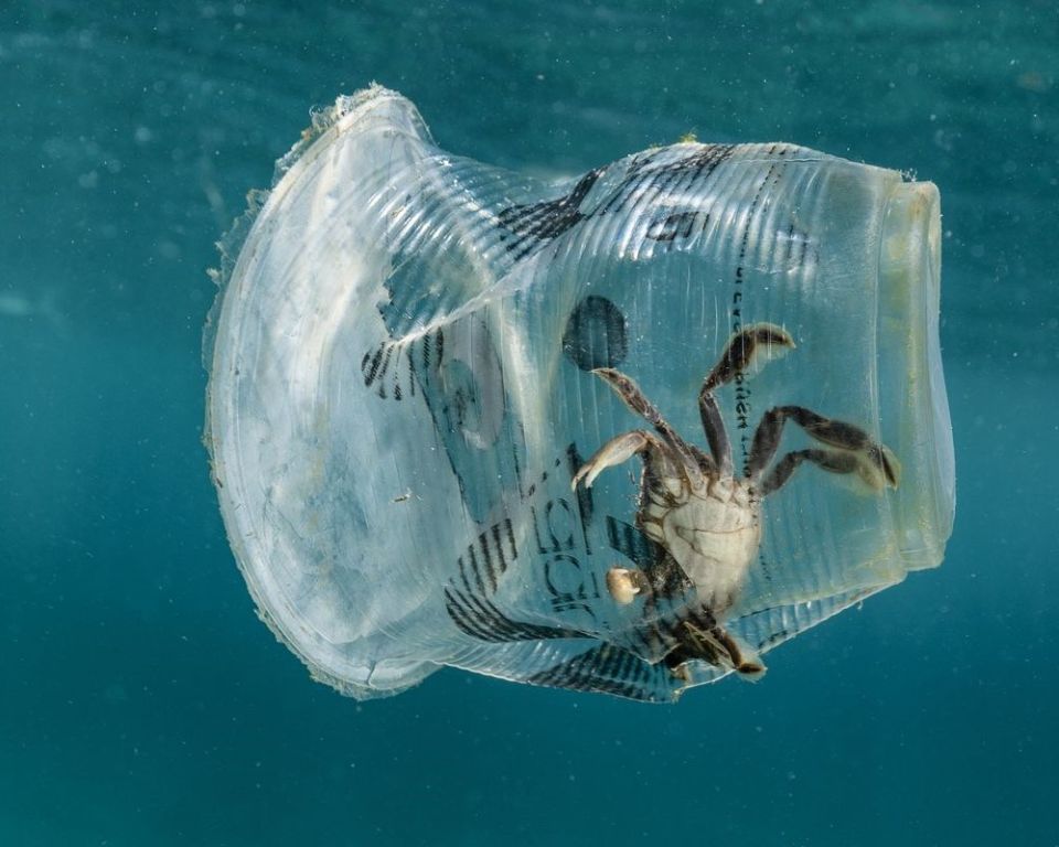  The Ocean Cleanup   :    