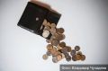 Владимирцы сдали в рамках "Монетной недели" больше всего десятикопеечных монет