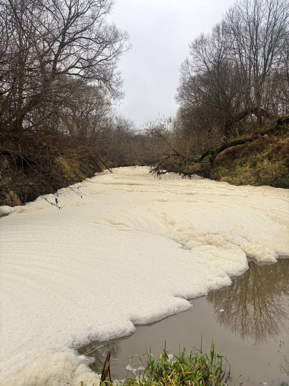 Природоохранная прокуратура проверяет факт загрязнения реки Пекша в Петушинском округе Специалисты владимирской природоохранной прокуратуры и регионального отдела Рыбнадзора, министерства экологии и природопользования... Природоохранная прокуратура проверяет факт загрязнения реки Пекша в Петушинском округе Специалисты владимирской природоохранной прокуратуры и регионального отдела Рыбнадзора, министерства экологии и природопользования...