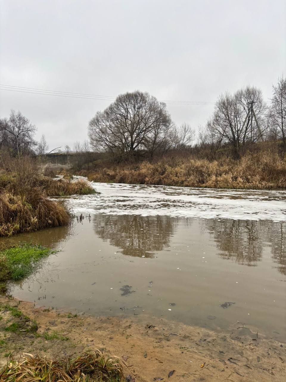 Природоохранная прокуратура проверяет факт загрязнения реки Пекша в Петушинском округе Специалисты владимирской природоохранной прокуратуры и регионального отдела Рыбнадзора, министерства экологии и природопользования...