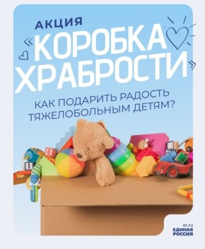 Елена Фомина: Присоединяйтесь к акции «Коробка храбрости»!