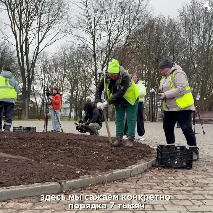 Продолжаются работы по озеленению городских пространств!