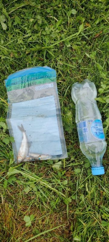 Прокуратура выяснила причину массовой гибели рыбы в реке Пекша