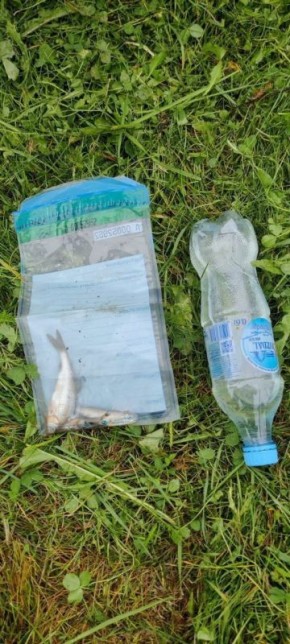 Прокуратура выяснила причину массовой гибели рыбы в реке Пекша