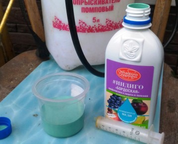 Плодовый сад под защитой: как новый фунгицид "Индиго" справляется с монилиозом